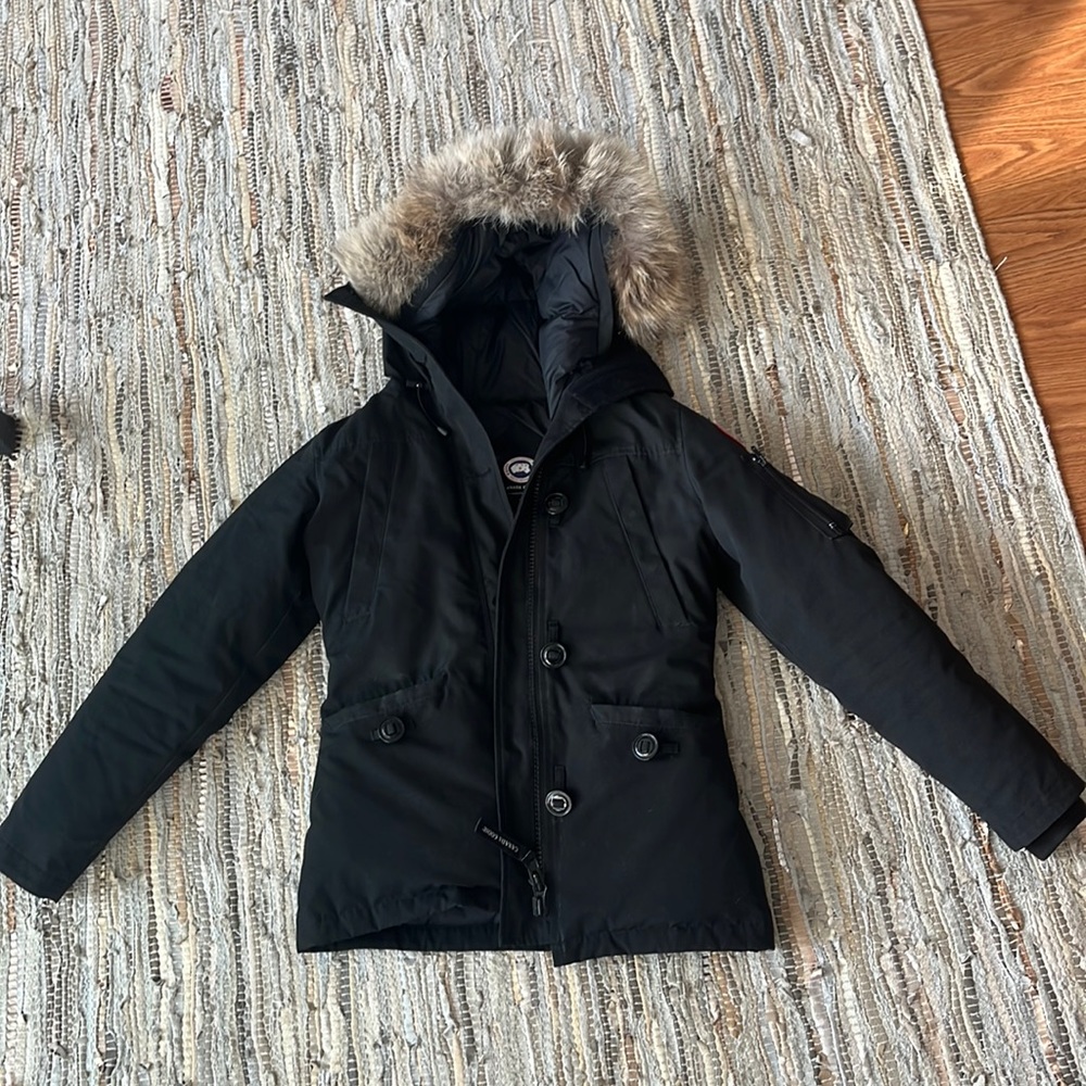 Black Canada Goose